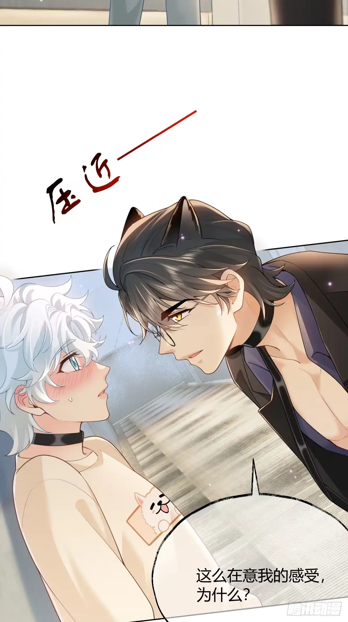 《暗恋对象是只猫》心意 第8页