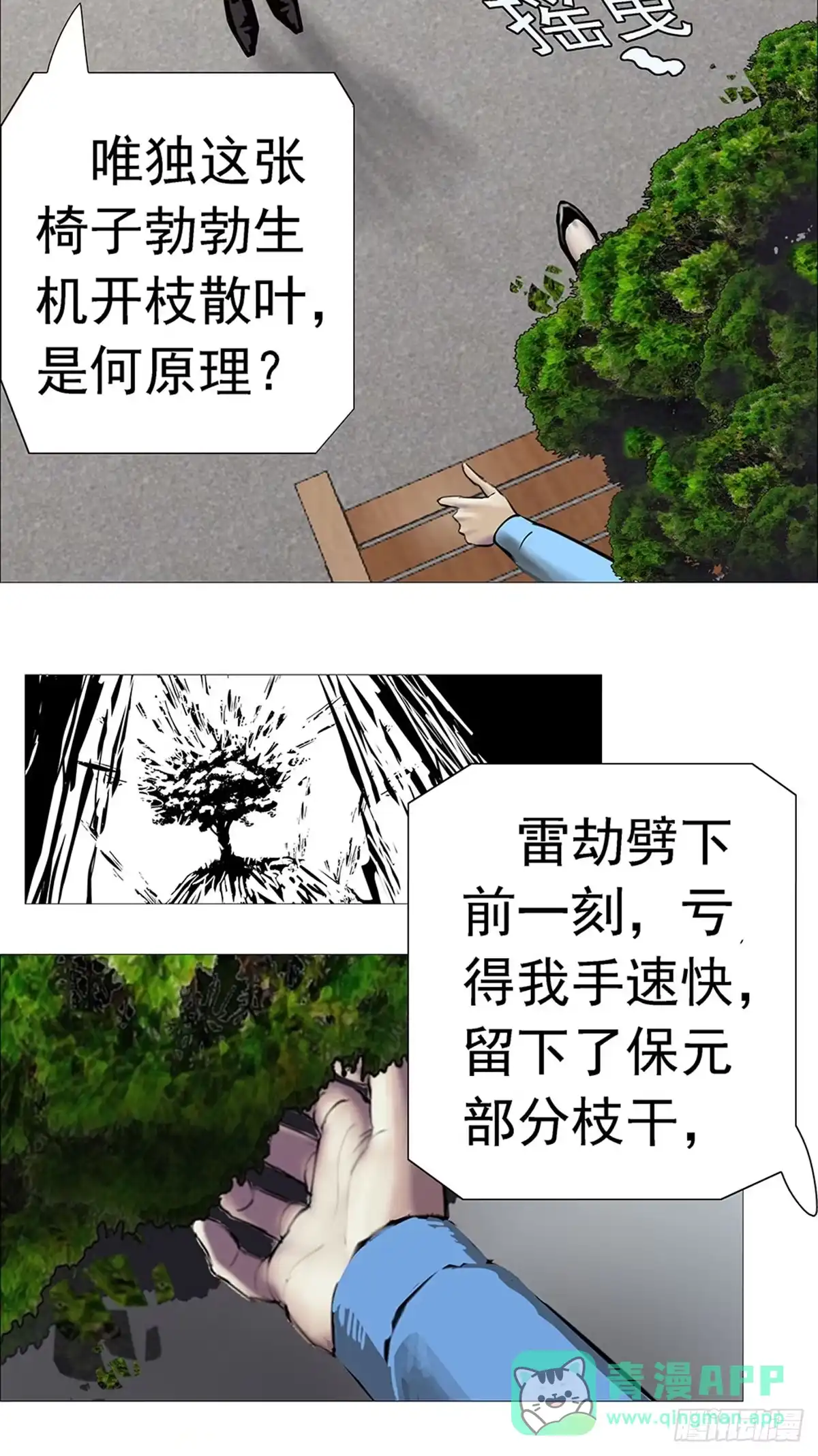 《暗神榜》树妖盆栽 第16页