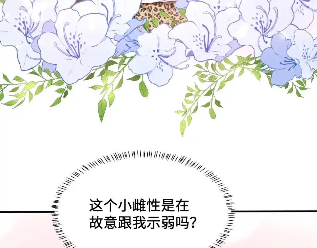 傲娇兽夫驯服计划 11 故意示弱 第71页