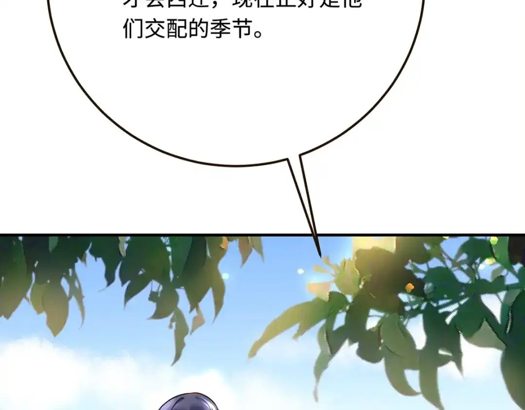 傲娇兽夫驯服计划 23 天兽出没 第37页