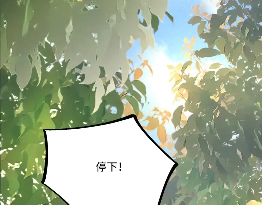 傲娇兽夫驯服计划 23 天兽出没 第113页
