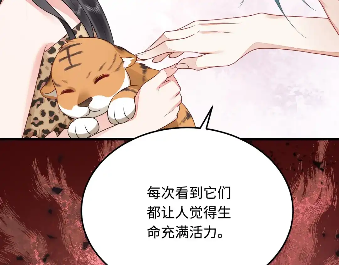 傲娇兽夫驯服计划 36 被挖墙脚？ 第13页