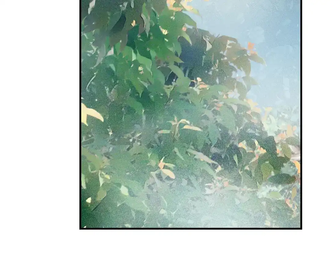 傲娇兽夫驯服计划 43 族长们的神力 第53页