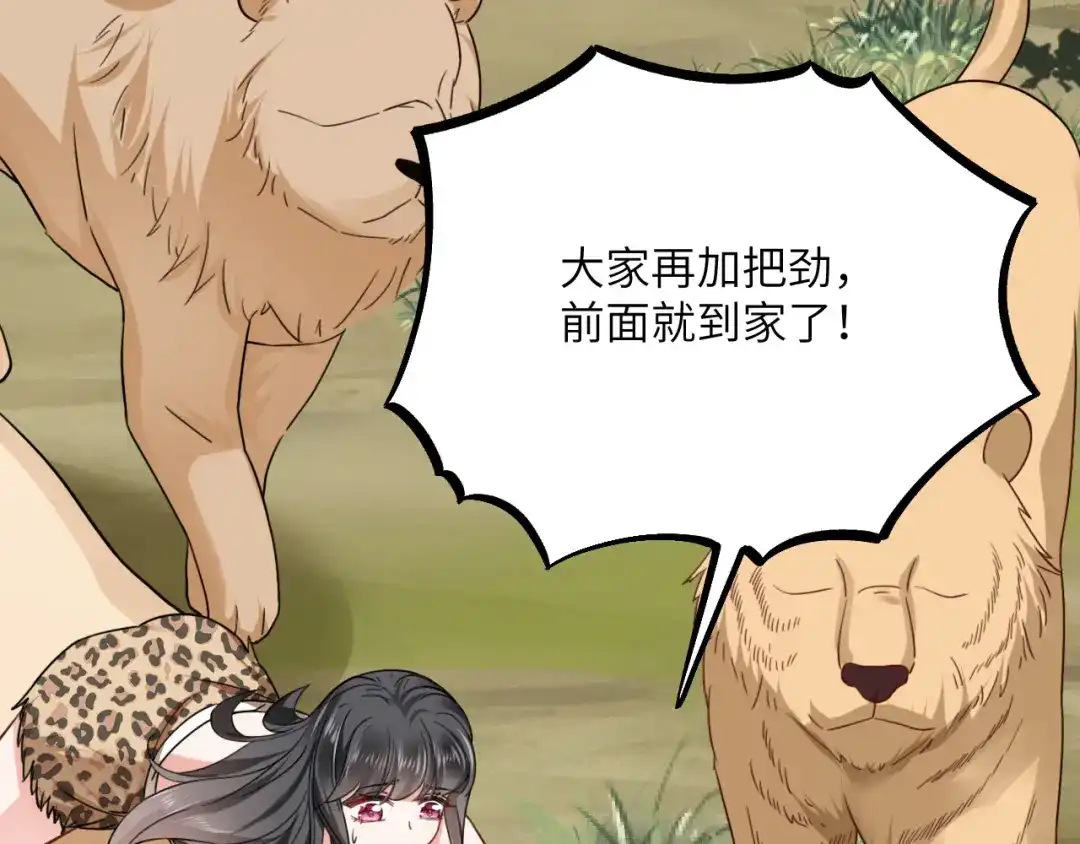 傲娇兽夫驯服计划 06 红颜祸水的快乐 第37页