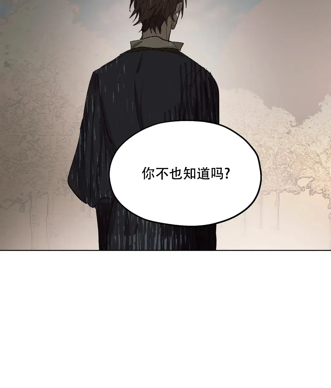 傲慢的奥托一世 第86话 第19页