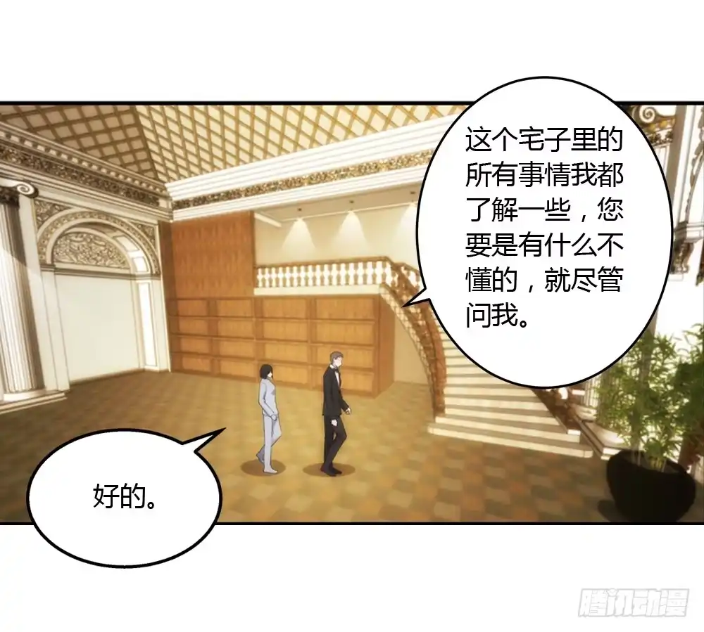 《霸道女总成长记》三百万豪华卧室 第12页