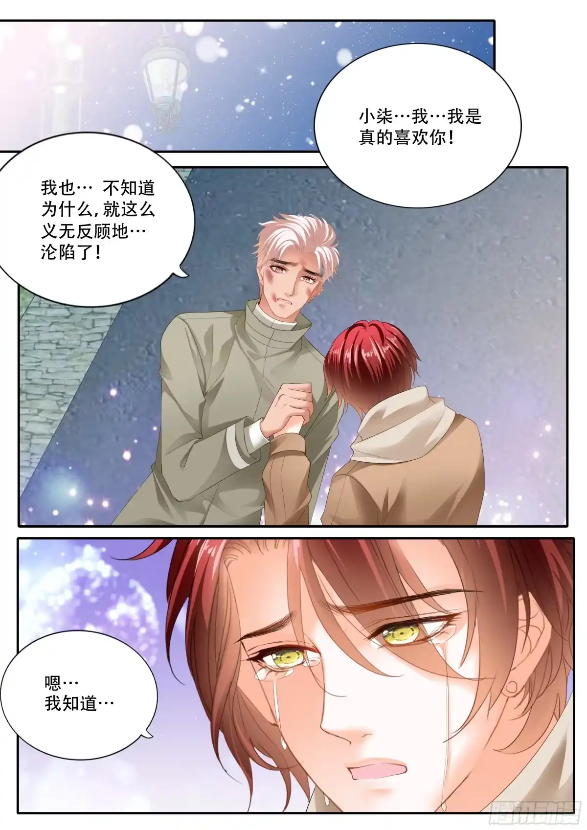 《霸道小叔，请轻撩！》你被骗了 第3页