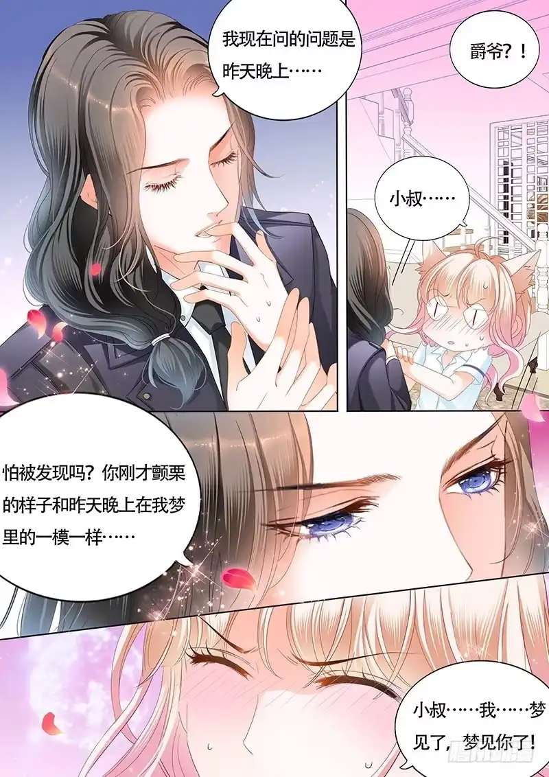 《霸道小叔，请轻撩！》我也梦见你了 第2页