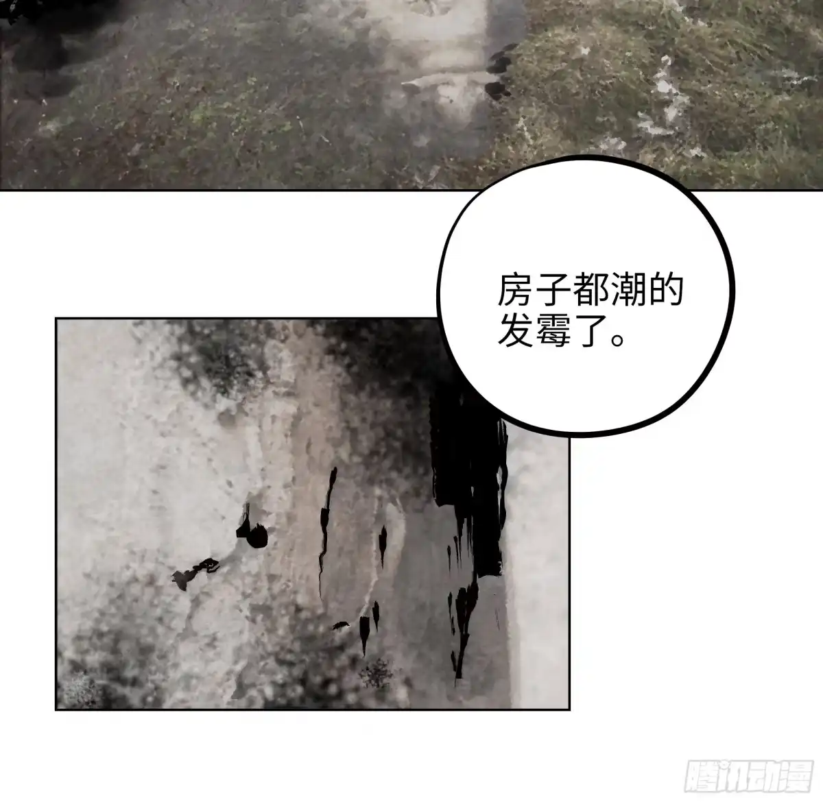 《白骨大圣》017猫死挂树，狗去水流 第24页