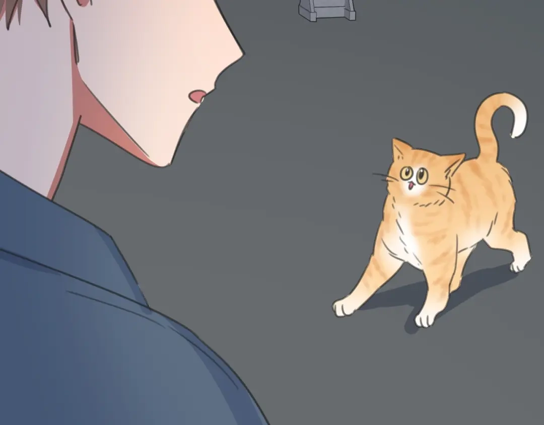 《拜见七舅姥爷》第26话 七舅姥爷的温柔 第80页