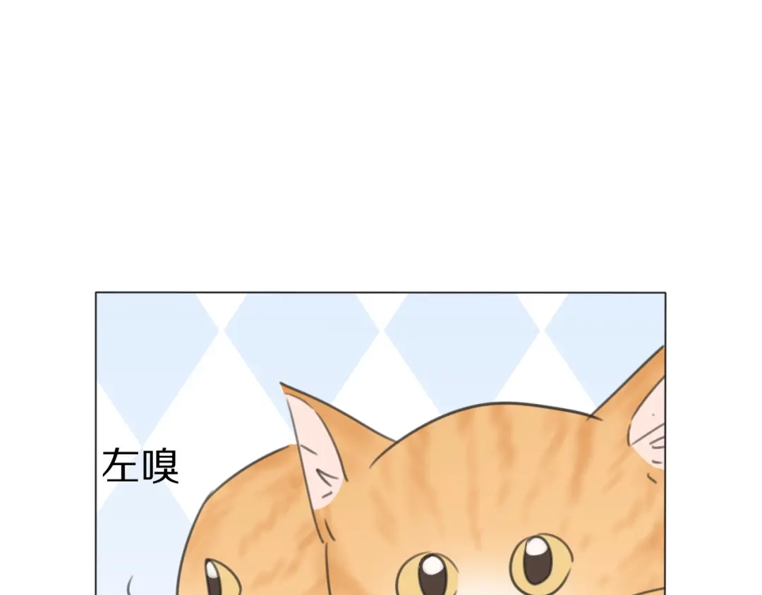 《拜见七舅姥爷》第29话 重塑肉身 第15页