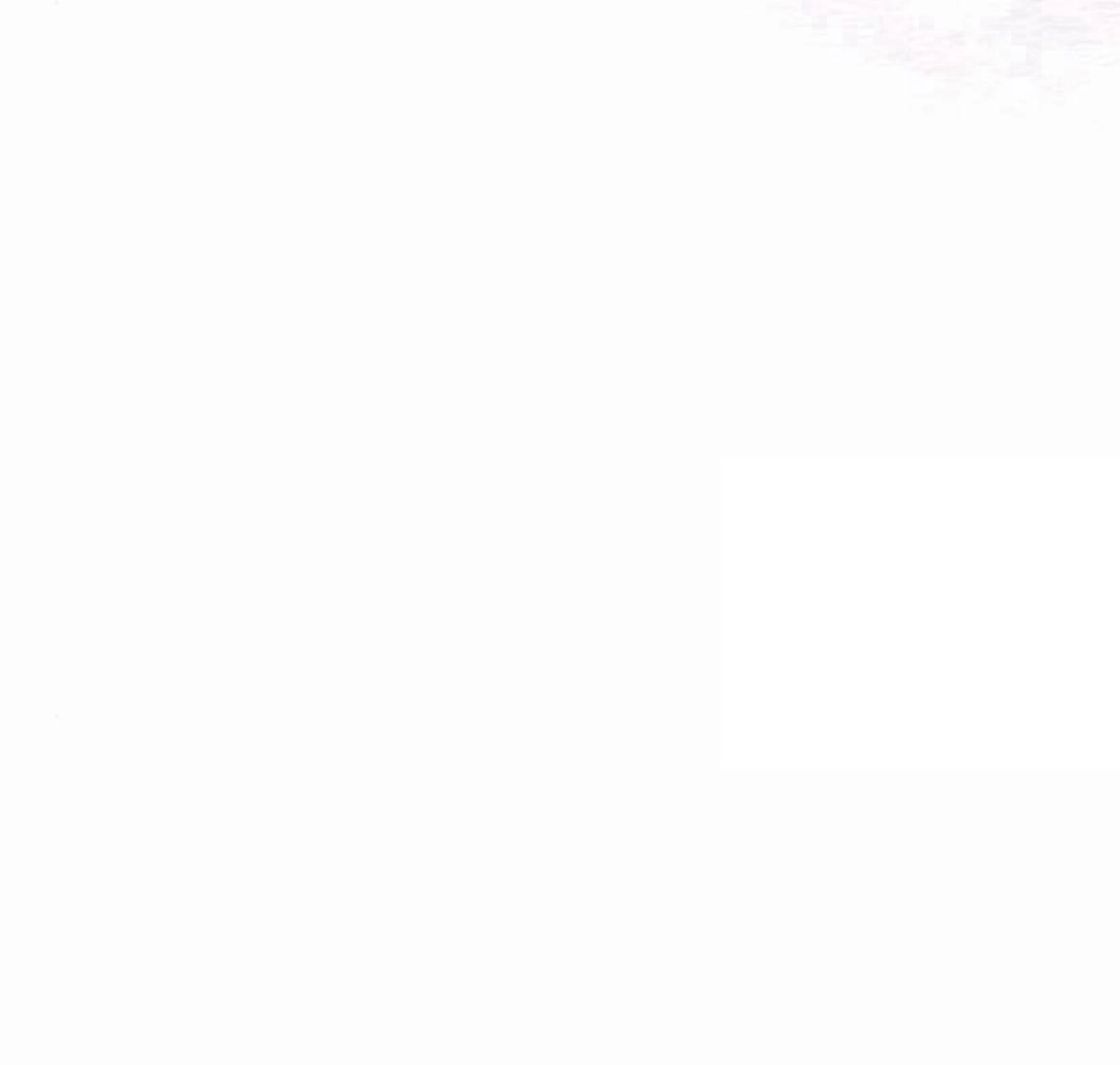 《白狮的秘密新娘》第11话 第67页