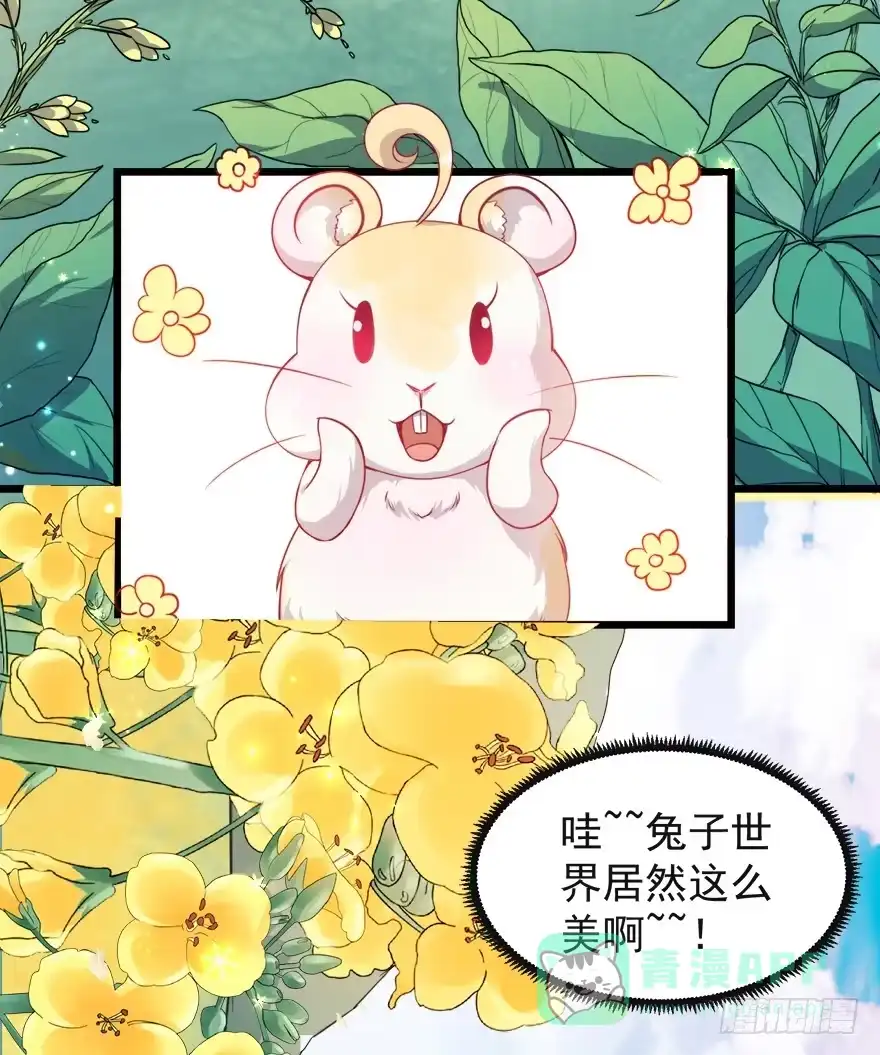 《拜托别吃我》100九宝铃 第6页