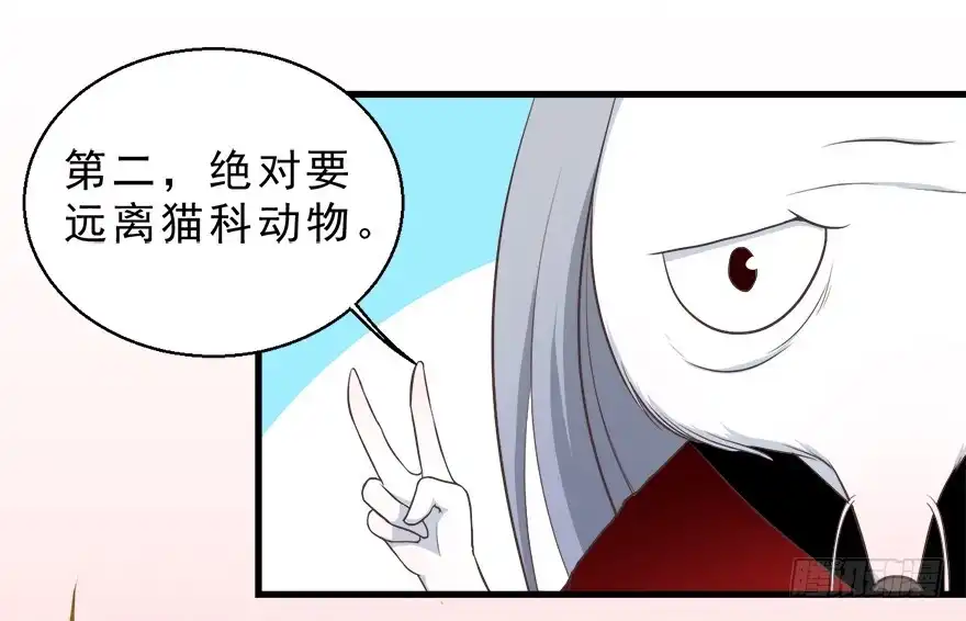 《拜托别吃我》022九宝的回忆与动物平行世界 第29页