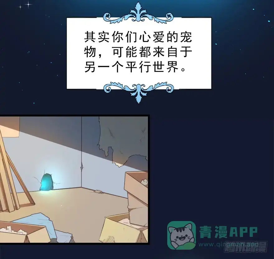 《拜托别吃我》022九宝的回忆与动物平行世界 第6页