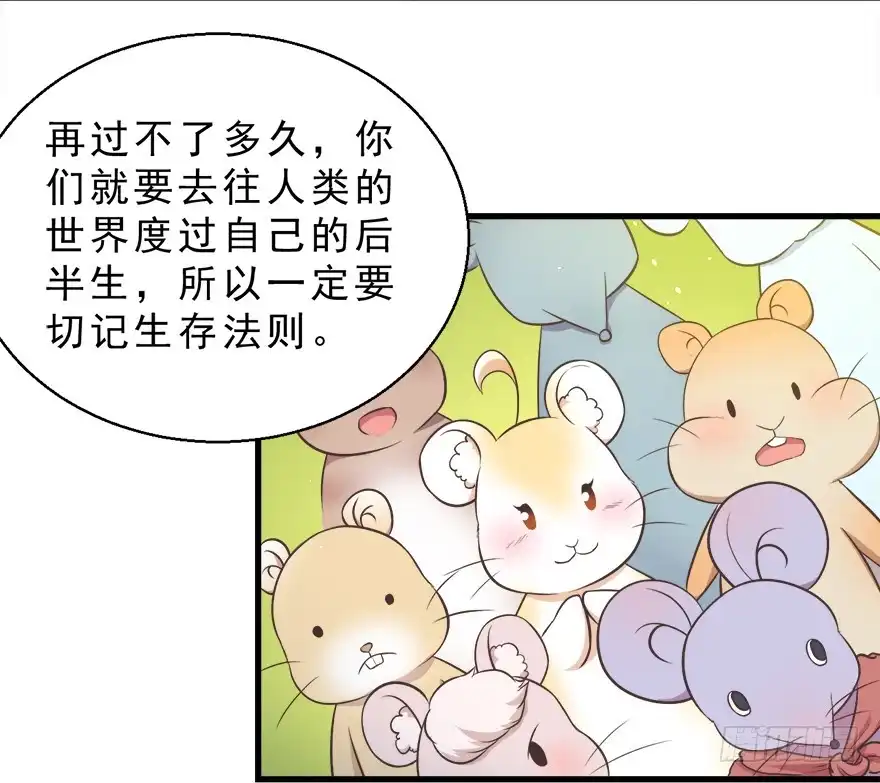 《拜托别吃我》022九宝的回忆与动物平行世界 第27页