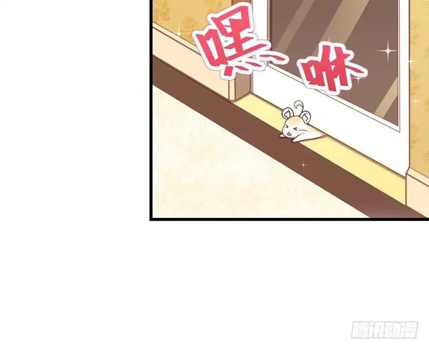 《拜托别吃我》025九宝要被拍卖了 第5页