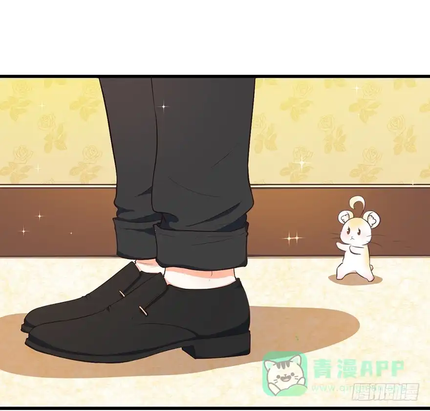 《拜托别吃我》025九宝要被拍卖了 第11页
