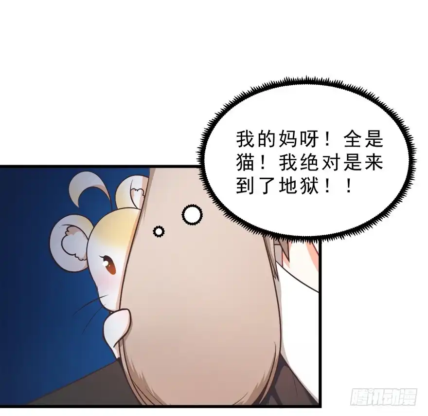 《拜托别吃我》025九宝要被拍卖了 第39页