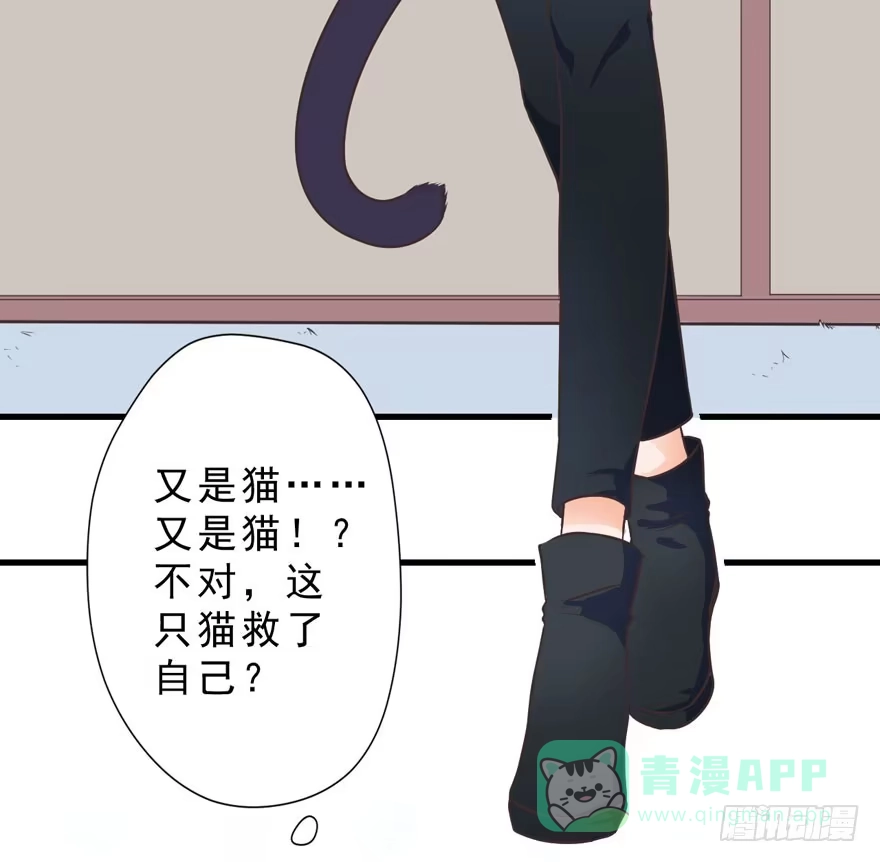 《拜托别吃我》003和天敌同居？ 第6页