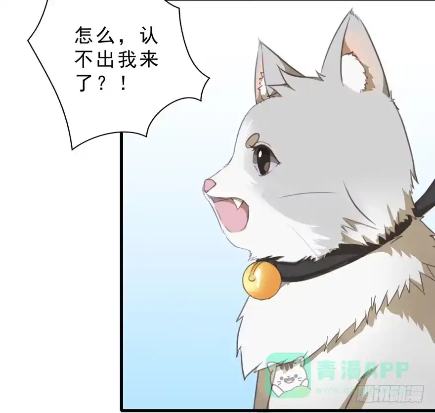 《拜托别吃我》003和天敌同居？ 第36页