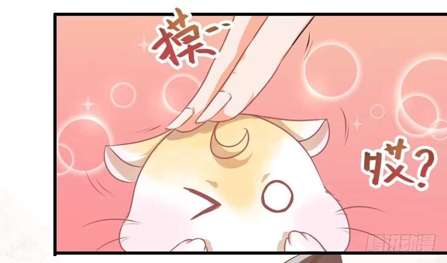 《拜托别吃我》003和天敌同居？ 第10页