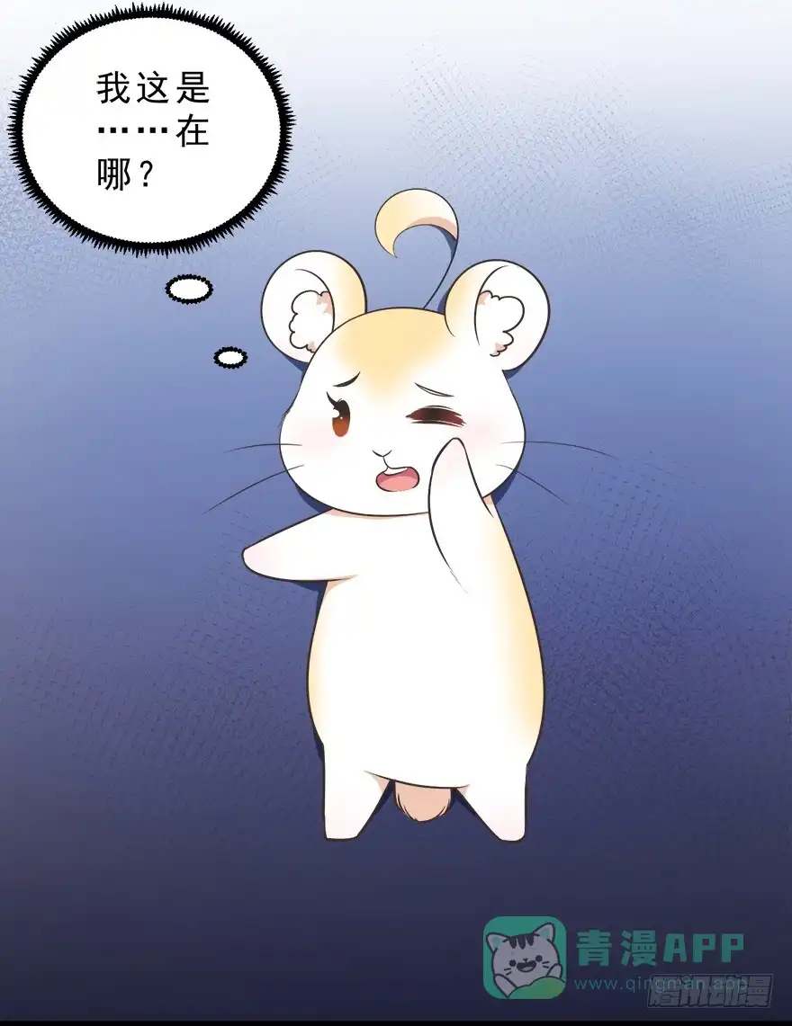 《拜托别吃我》025九宝要被拍卖了（下） 第41页
