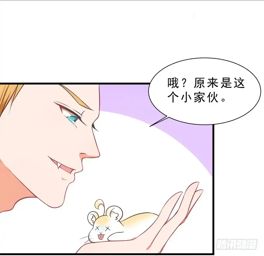 《拜托别吃我》025九宝要被拍卖了（下） 第38页