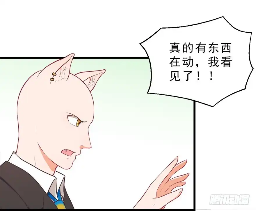 《拜托别吃我》025九宝要被拍卖了（下） 第25页