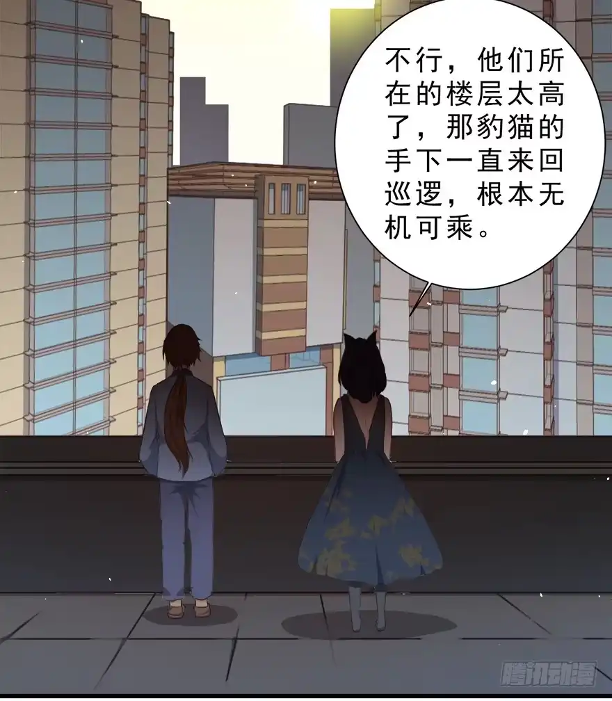 《拜托别吃我》026殿下请别讨厌我 第50页