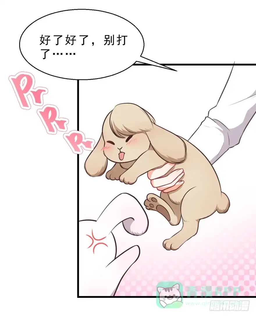 《拜托别吃我》032兔子的秘密 第26页