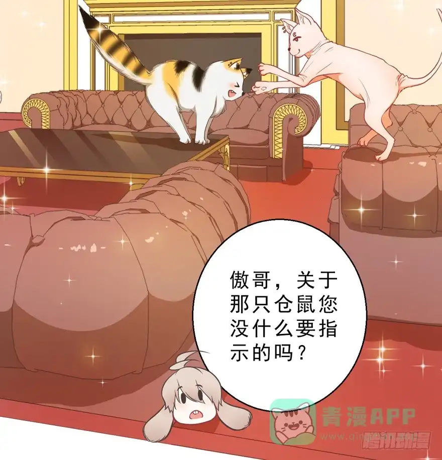 《拜托别吃我》032兔子的秘密 第11页
