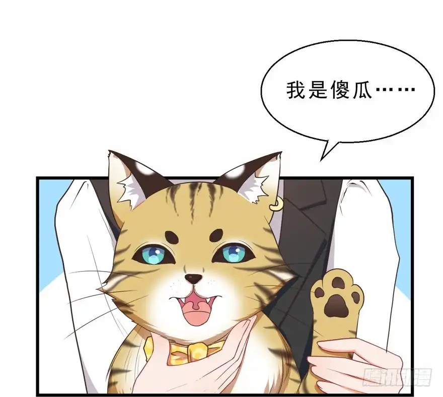 《拜托别吃我》042和猫总裁的亲密约会 第22页