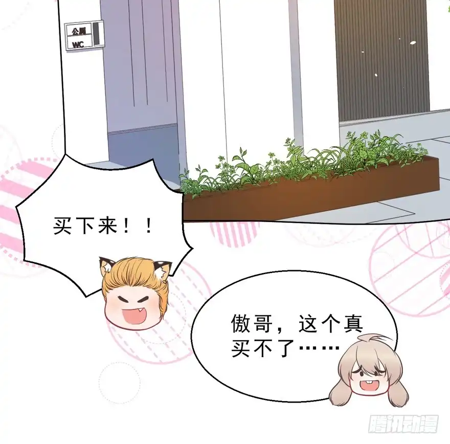 《拜托别吃我》042和猫总裁的亲密约会 第14页