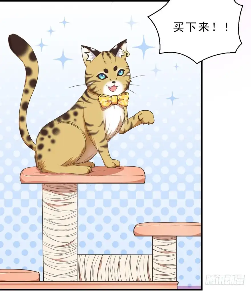 《拜托别吃我》042和猫总裁的亲密约会 第19页