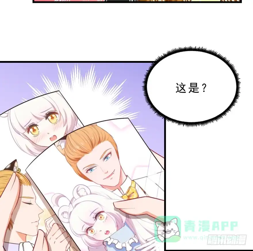 《拜托别吃我》045乞丐猫总裁 第6页
