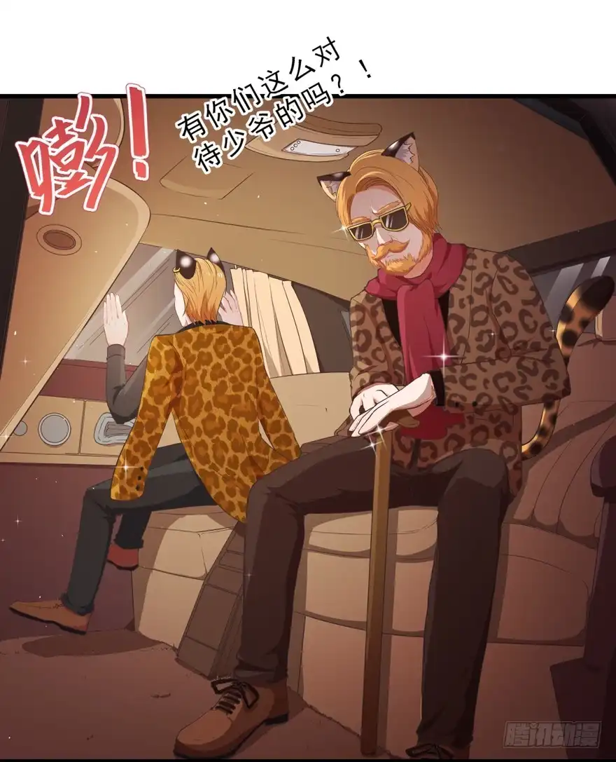 《拜托别吃我》045乞丐猫总裁 第4页