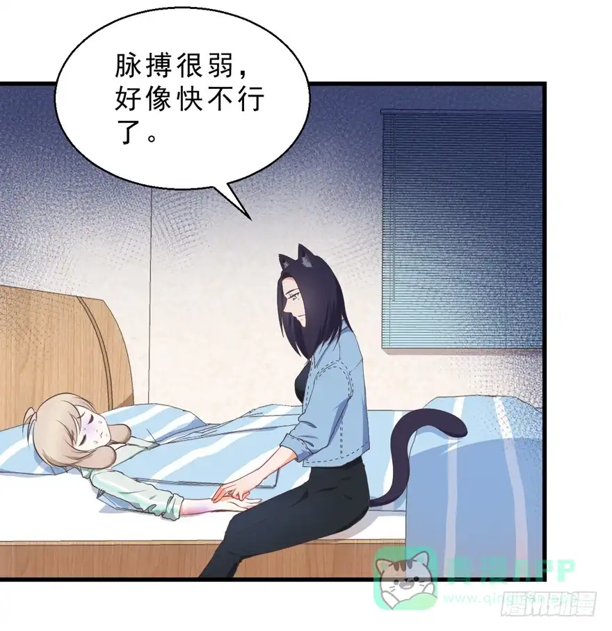 《拜托别吃我》051再也不见 第16页