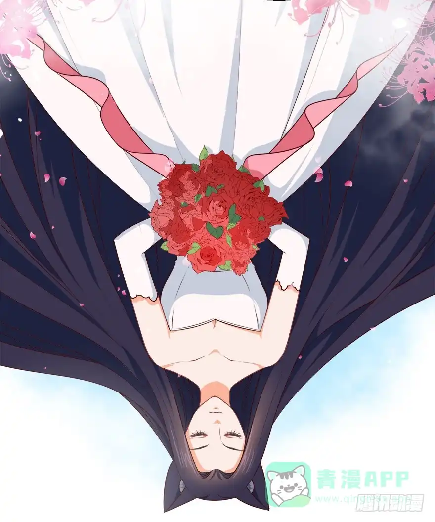《拜托别吃我》088执着什么 第11页