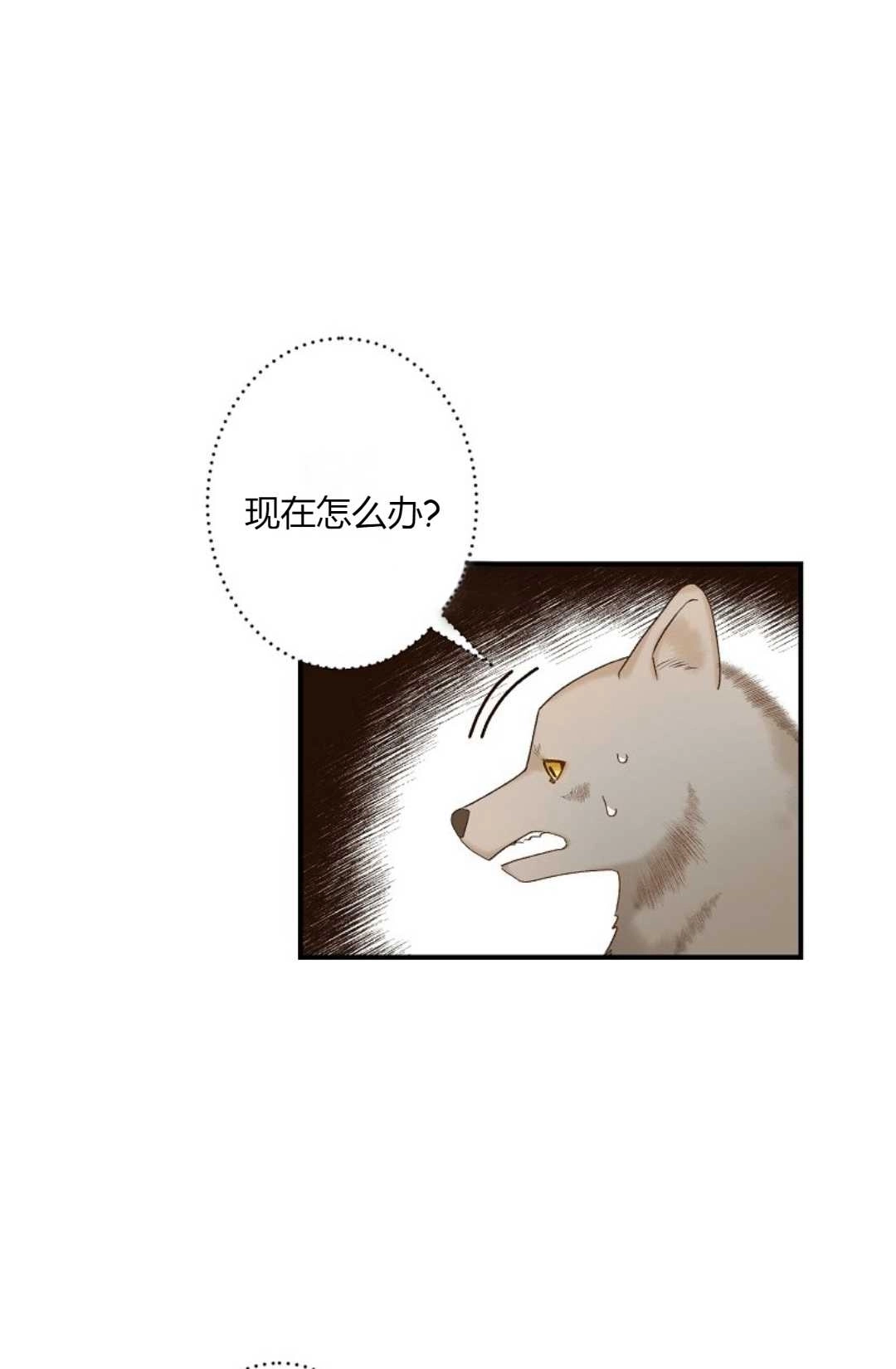 《白鼬小姐想死去!》第01话 第71页