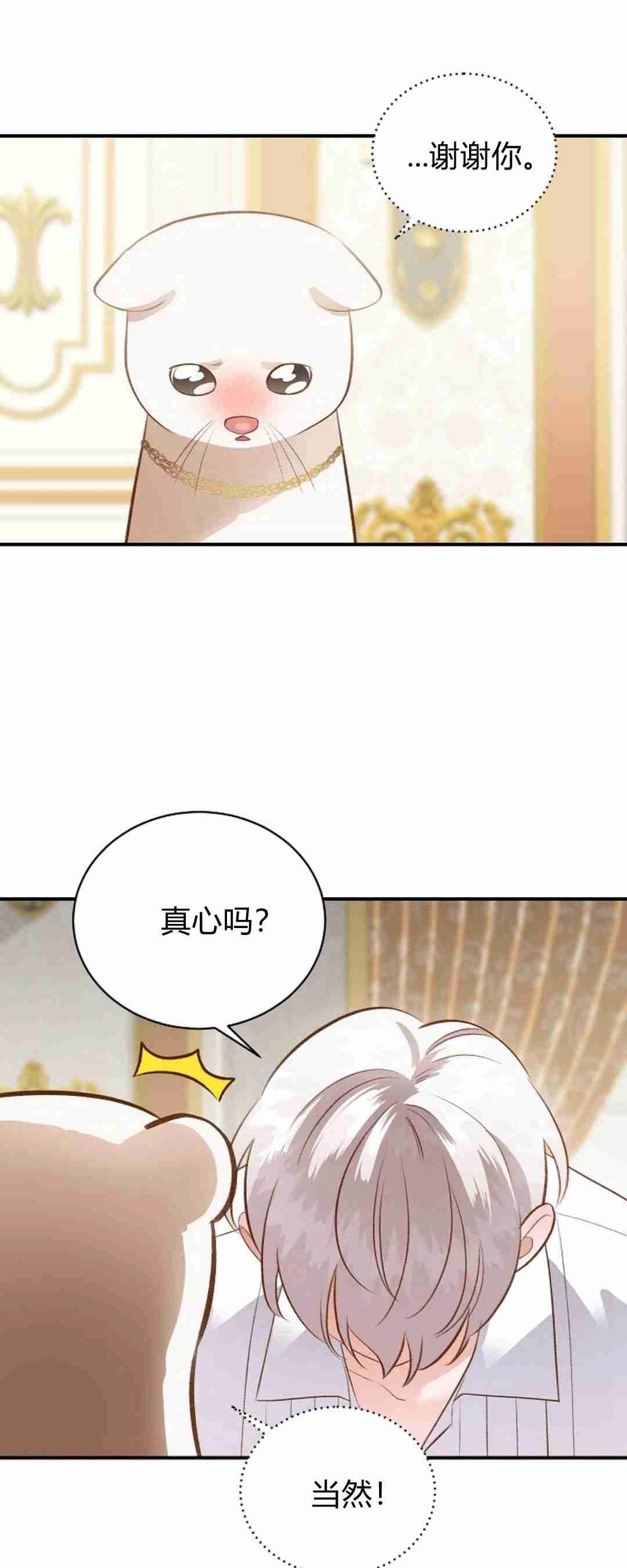 《白鼬小姐想死去!》第38话 第35页