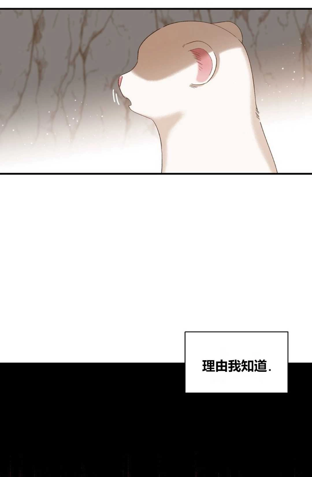 《白鼬小姐想死去!》第04话 第43页