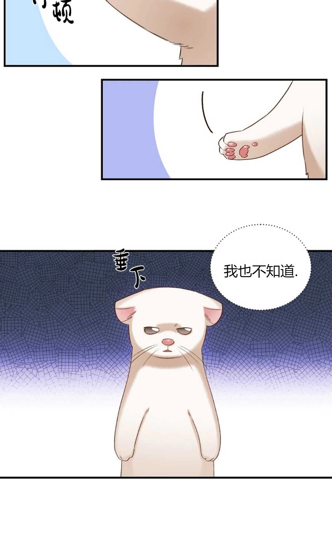 《白鼬小姐想死去!》第06话 第9页