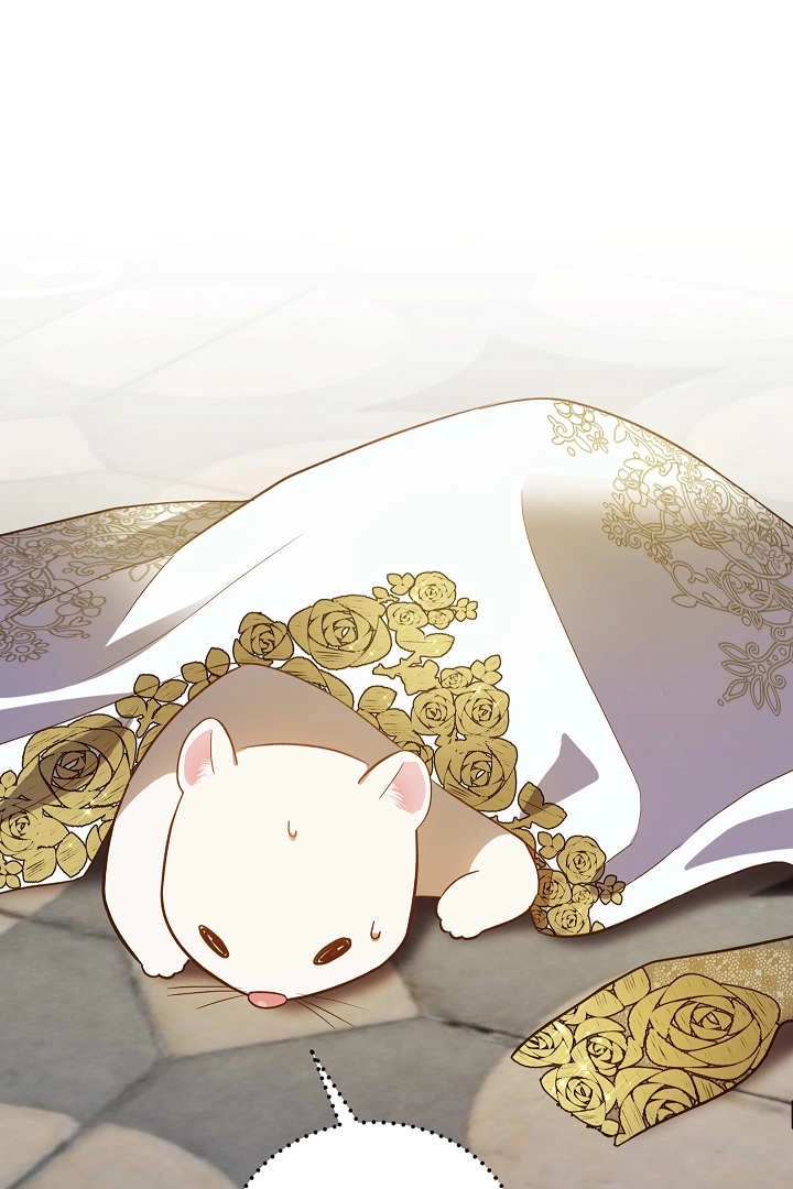《白鼬小姐想死去!》第68话 第68页