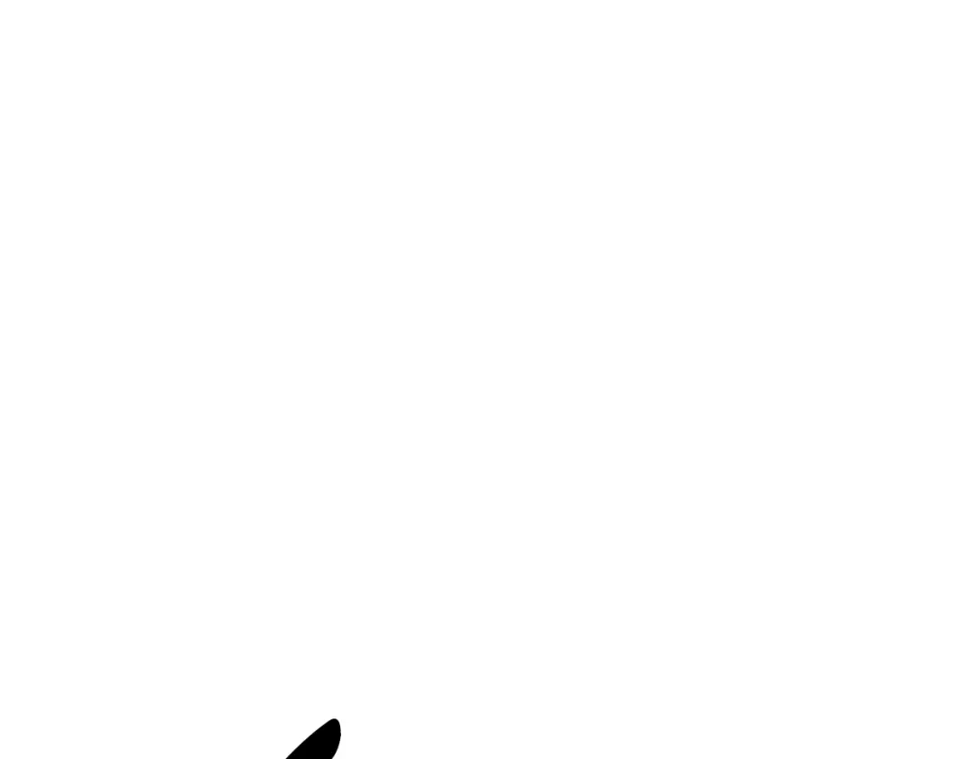 242.jpg