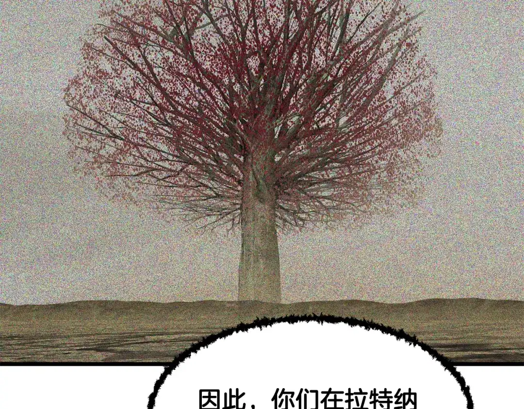 248.jpg