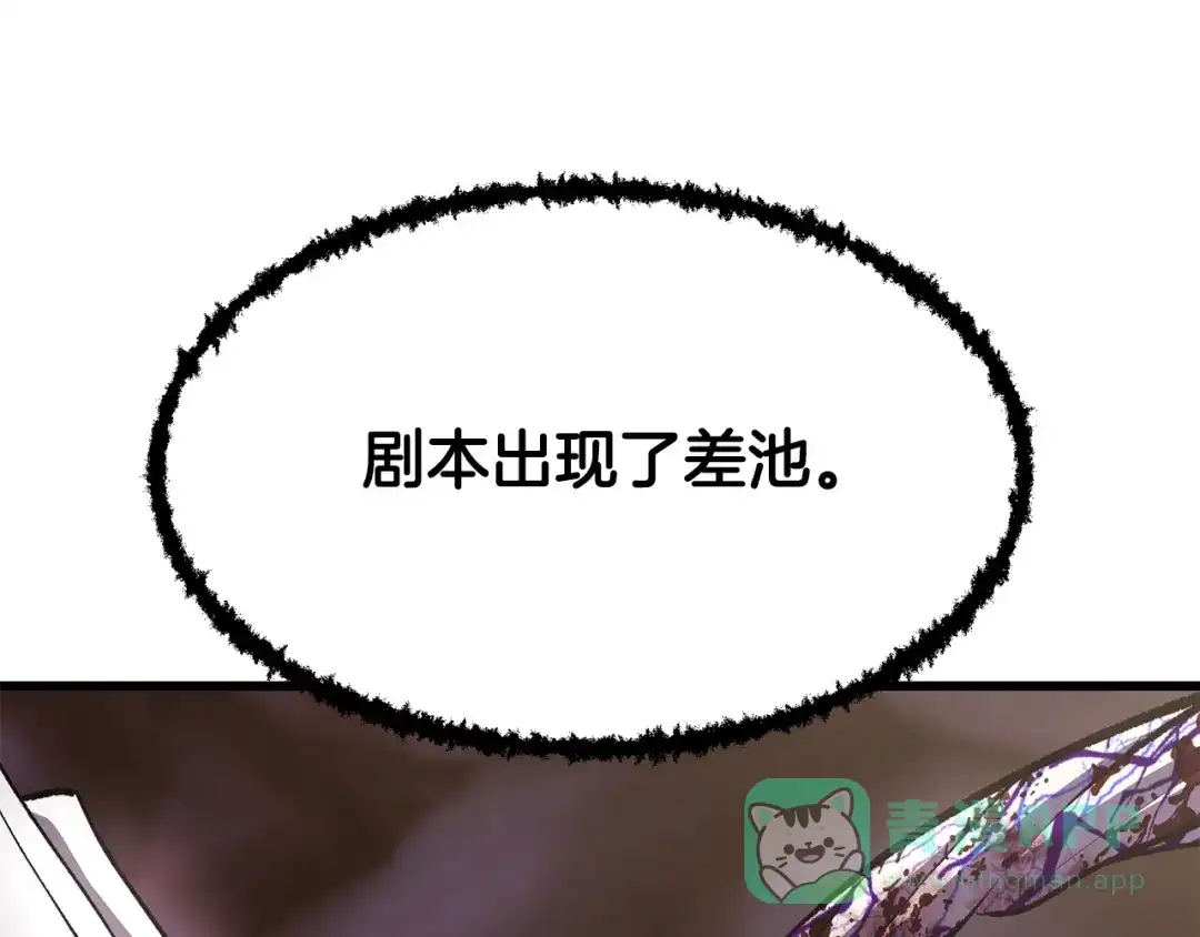 241.jpg