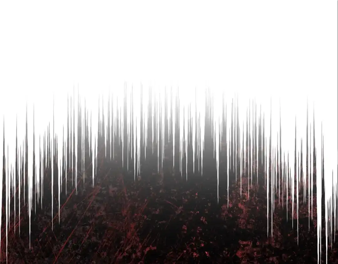244.jpg