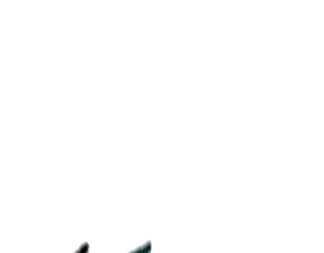 65.jpg