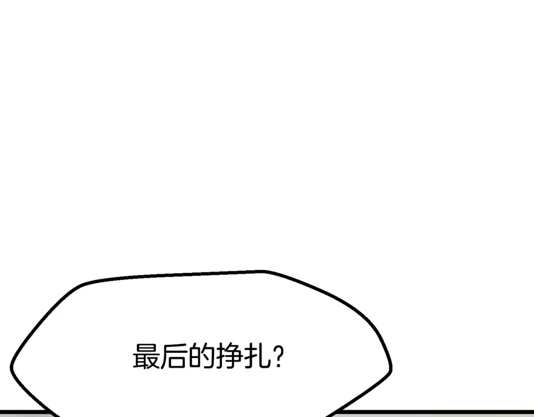 241.jpg